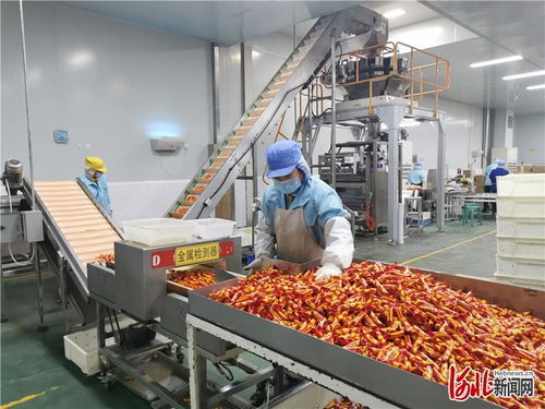 河北定興 做優(yōu) 舌尖 上的產(chǎn)業(yè)集群