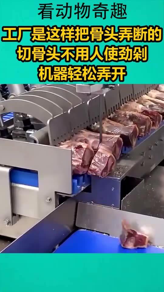 工廠是這樣把骨頭弄斷的,切骨頭不用人使勁剁,機器輕松弄開