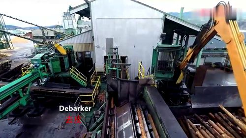 世界最大木材加工廠,全程機械化,完全看不到一個工人